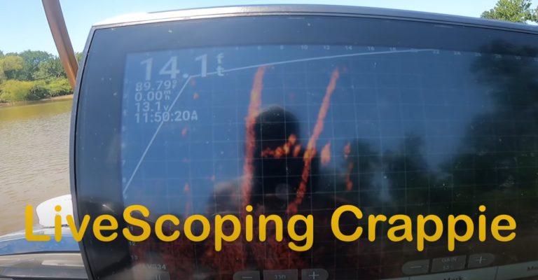livescoping crappie