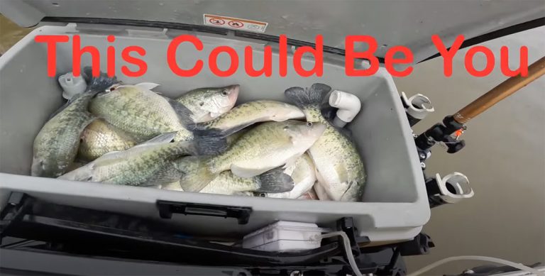 6 Huge Crappie caught off one log